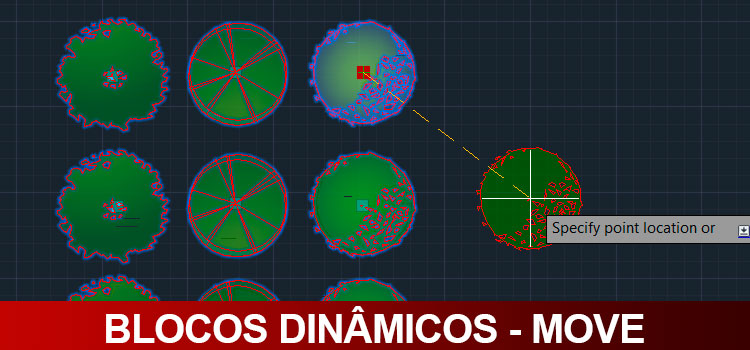 Blocos-dinâmicos-Move