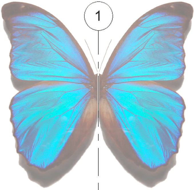 Eixos no Revit - Guia básico 2 eixos-no-revit