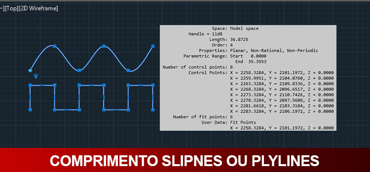 comprimento total polyline spline 01A